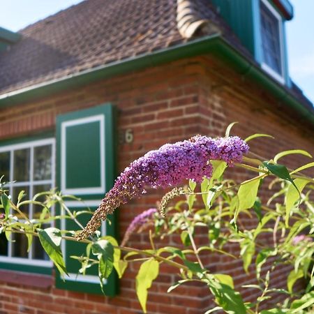 Gemuetliches Landhaus In Harmsdorf Villa ภายนอก รูปภาพ