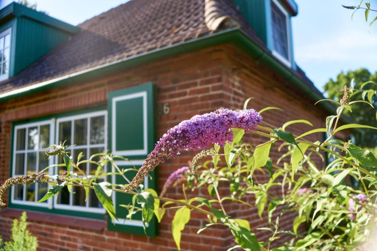 Gemuetliches Landhaus In Harmsdorf Villa ภายนอก รูปภาพ